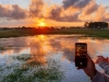 Early morning provides beautiful opportunities for photos.